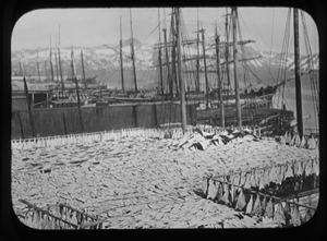 Image of Fish flakes by harbor. Vessels docked